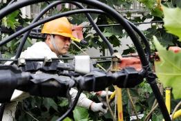 電力菁英服務上?！皠?chuàng)意產(chǎn)業(yè)”發(fā)展