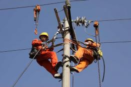 加快推進農(nóng)村線路絕緣化改造
