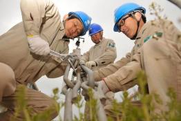 春檢問(wèn)責(zé)保質(zhì)量