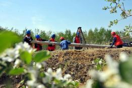 果農(nóng)增收 不靠老天就靠電