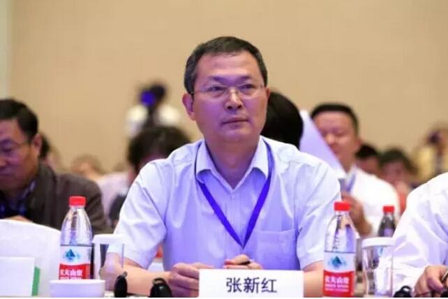 張新紅：信息化是中國發(fā)展的最大機(jī)遇