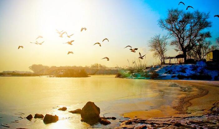 遼寧電力體制改革試點(diǎn)獲批之后 電力交易進(jìn)行的如何了？