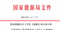 能源行業(yè)市場主體信用評(píng)價(jià)工作管理辦法（試行）