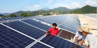 真相大白：光伏真的躺著都能賺錢？