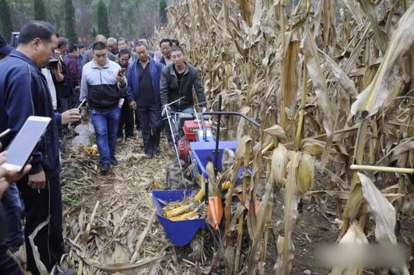 201712211549_27702000