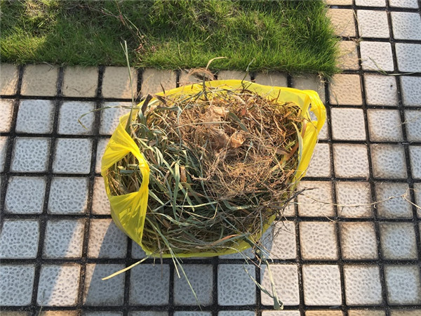 W020170804104706031012