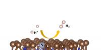 中國科大在碳基材料電催化析氫研究方面取得新進(jìn)展