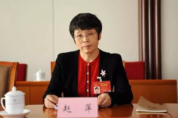 東方風(fēng)電趙萍：海上風(fēng)機(jī)大型化是趨勢，中國已落后一步