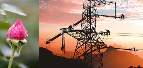 南方區(qū)跨省跨區(qū)交易，2018年會(huì)是待放的玫瑰嗎？