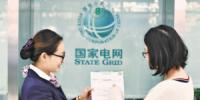 國(guó)家電網(wǎng)<font color=