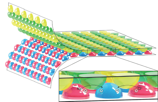 靈感來(lái)源于電鰻的柔性電池：未來(lái)或許能為起搏器供電