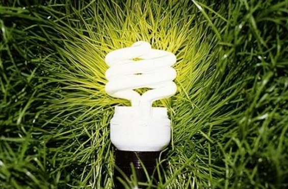 綠證能否突出重圍？