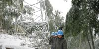 浙江電力啟動預防雨雪冰凍<font color=