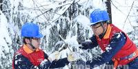 滁州供電：冒雪搶修<font color=