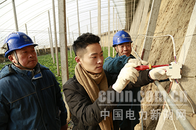 淄博供電:服務(wù)特色農(nóng)業(yè)