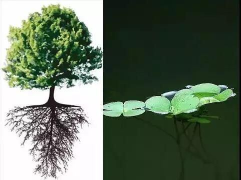 一起來認識海上風電安裝作業(yè)平臺