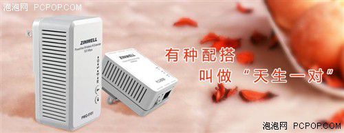 電力貓的版本眾多，從電力線傳輸技術(shù)上就可以分為HomePlug和G.hn，采用相同電力線通信技術(shù)的電力貓還可以分為有線電力貓和無線電力貓，而在無線電力貓中還有無線AP和無線路由的區(qū)別。外觀功能上的區(qū)別就更大了，以ZINWELL為例，就先后推出了單口有線電力貓，帶電源延長線的電力貓，多口有線電力貓，電力貓無線路由器，無線AP電力貓，帶電源插座的電力貓等。