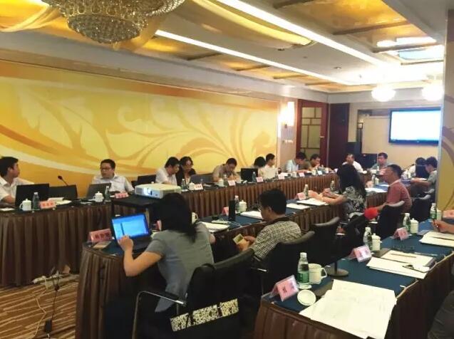 《低風(fēng)速風(fēng)力發(fā)電機組選型導(dǎo)則》送審稿通過審查