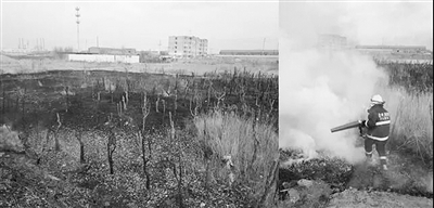 滄州熱點網(wǎng)格推進精準治氣