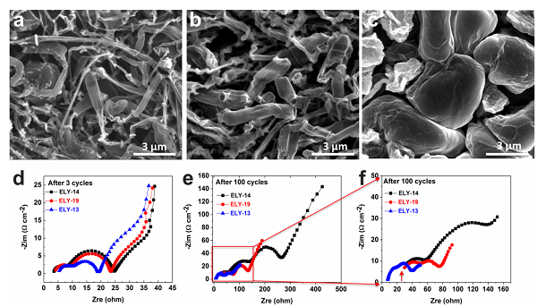 專題報(bào)道：Imide-Orthoborate雙鹽電解質(zhì)體系抑制鋰枝晶及提升鋰金屬庫(kù)侖效率的研究