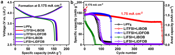專題報(bào)道：Imide-Orthoborate雙鹽電解質(zhì)體系抑制鋰枝晶及提升鋰金屬庫(kù)侖效率的研究