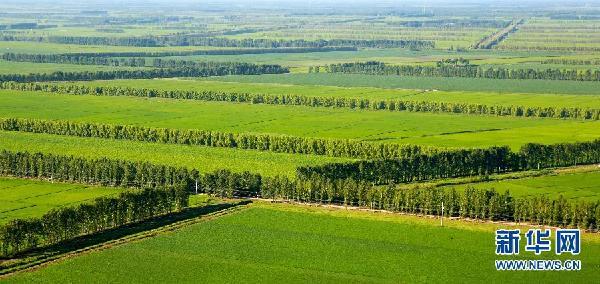 三北防護(hù)林不擋沙塵？專家：固沙作用明顯，此次沙塵來(lái)自蒙古