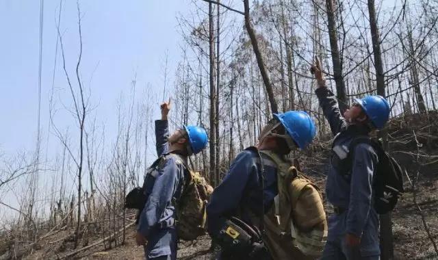 聽說最近輸電線路和鐵塔“火”啦！