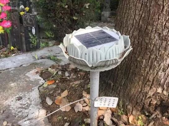 墓地傳來哭聲 周圍卻沒有人影 清明節(jié)你被光伏嚇著了嗎？