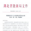 湖北省首批68家售電公司通過公示！4月20日前辦理注冊(cè)手續(xù)