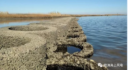 維斯塔斯海上風(fēng)機(jī)搞創(chuàng)新：居然還用到生蠔！