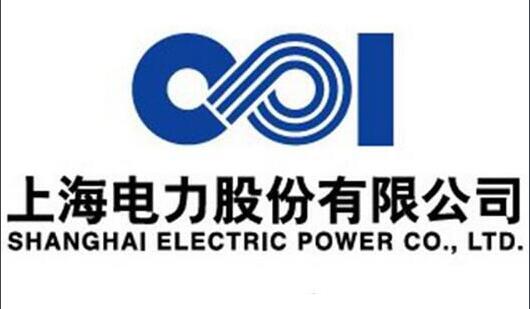 上海電力首個歐洲風(fēng)電項目圓滿完成第一臺風(fēng)機吊裝