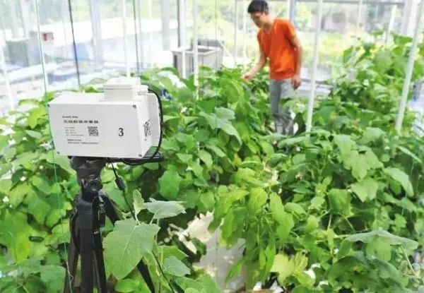 互聯(lián)網(wǎng)+農(nóng)業(yè)，6大創(chuàng)業(yè)方向是…