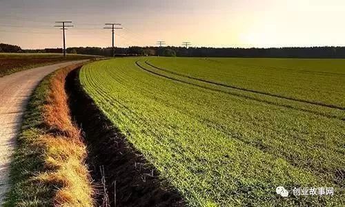 依靠美村網，95后小伙用互聯(lián)網+農業(yè)改變農產品銷售模式