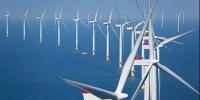 中國風(fēng)電企業(yè)出海記：國際化是必選項，抱團(tuán)方能同取暖