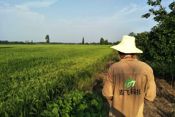 “AI+遙感”覬覦萬億級(jí)智慧農(nóng)業(yè)市場(chǎng)，這次沒有中間商賺差價(jià) 