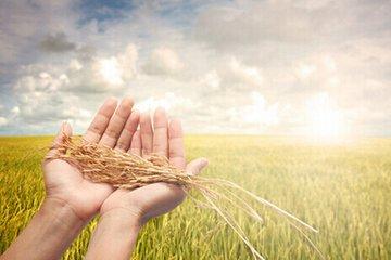 杜培良打造中國(guó)生態(tài)農(nóng)牧業(yè)商城，助力最美新農(nóng)村建設(shè)