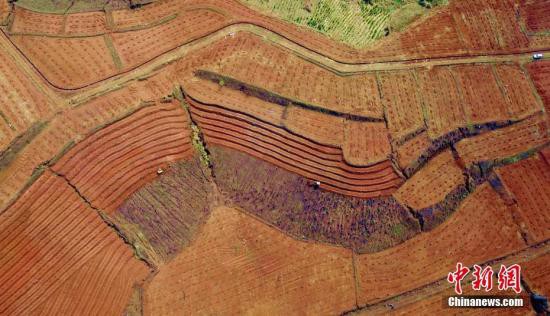 土壤修復(fù)成“污染搬家” 背后折射行業(yè)尷尬現(xiàn)狀