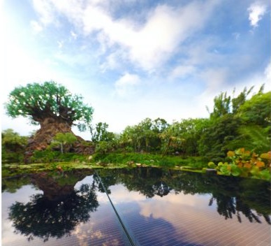 太陽能樂園來了！華特迪士尼將建50MW光伏電站