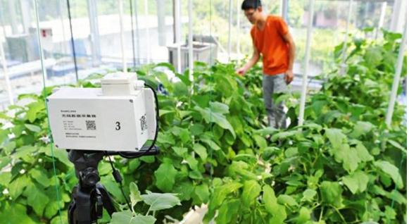 互聯(lián)網(wǎng)+農(nóng)業(yè) 下一個(gè)風(fēng)口！