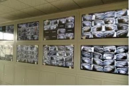 智能化養(yǎng)豬系統(tǒng)，現(xiàn)代化農(nóng)業(yè)發(fā)展之路