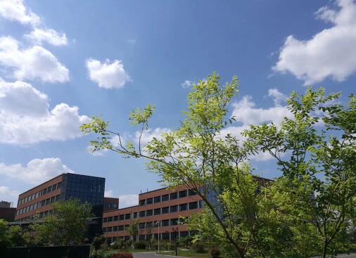 歐科高效鍋爐編織節(jié)能減排夢 科技引領(lǐng)發(fā)展 夢想照進現(xiàn)實 