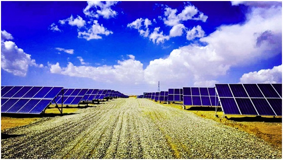 市場風向波云詭譎 光伏企業(yè)竟跨界成風？