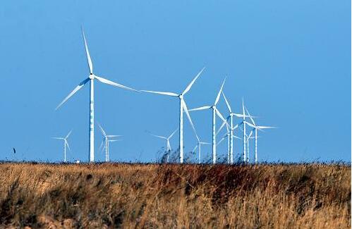 黃河入?？卺绕稹帮L(fēng)光城” 東營新能源裝機占比超三成