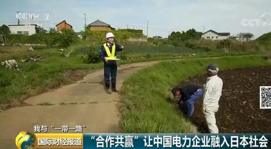 中國央企用光伏帶日本農民致富！10倍租金盤活荒廢農地