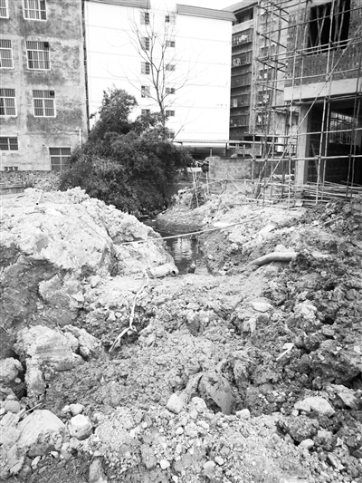 黑臭水體整治專項(xiàng)行動(dòng)查出一批問(wèn)題