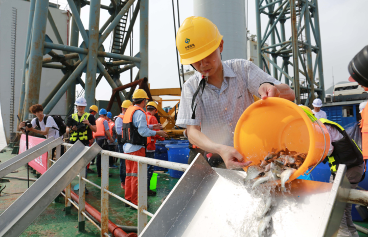 海上風(fēng)電與增殖放流并舉 這里的保護(hù)生態(tài)舉措很給力