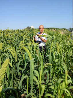  打造互聯(lián)網(wǎng)+農(nóng)產(chǎn)品領(lǐng)先品牌 帶動陜西農(nóng)業(yè)經(jīng)濟騰飛