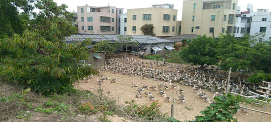 水源地專項(xiàng)督查曝光第二批環(huán)境違法問(wèn)題