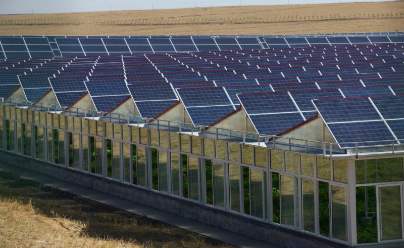 光伏產(chǎn)業(yè)可以軟著陸 “531新政”幅度過(guò)大得不償失