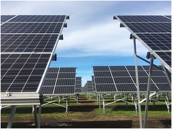 光伏新政板上釘釘 “凜冬”之中的轉(zhuǎn)機(jī)在哪里？